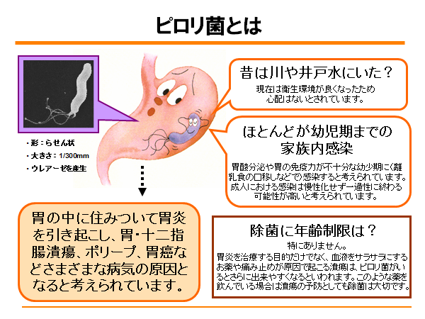 ピロリ 菌 大人 に なっ て から 感染